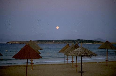 Surfing Beach Huts Santa Maria  Bagian luar foto