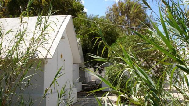 Surfing Beach Huts Santa Maria  Bagian luar foto